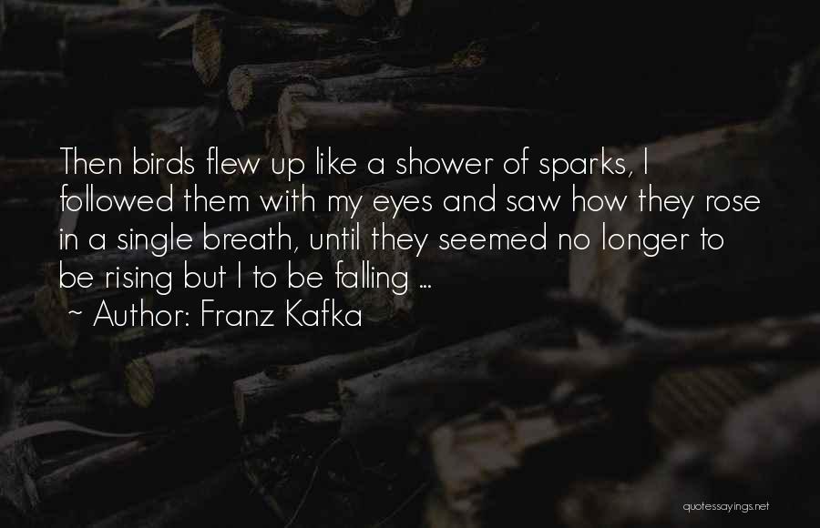 Falling And Rising Up Quotes By Franz Kafka