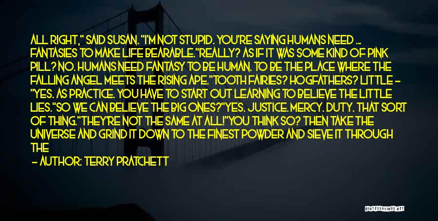 Falling And Rising Up Quotes By Terry Pratchett