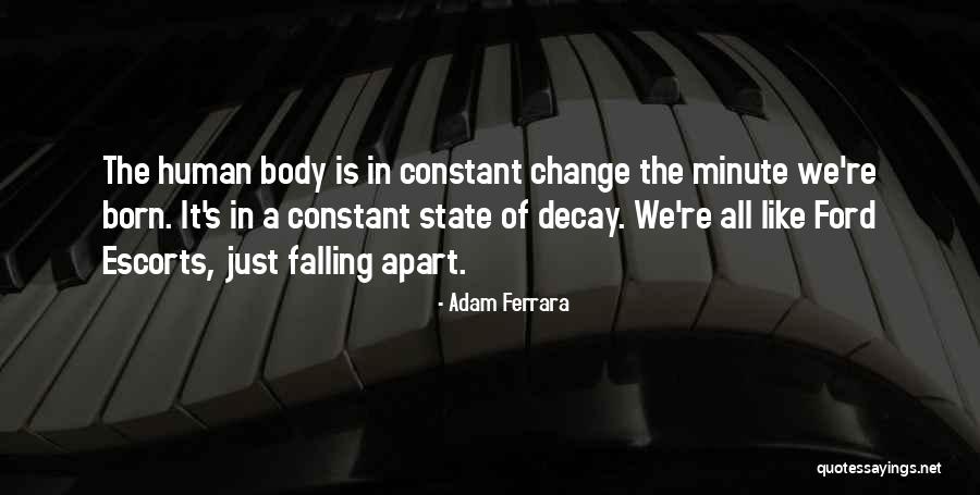Falling Apart Quotes By Adam Ferrara Falling Apart Quotes By Adam Ferrara
