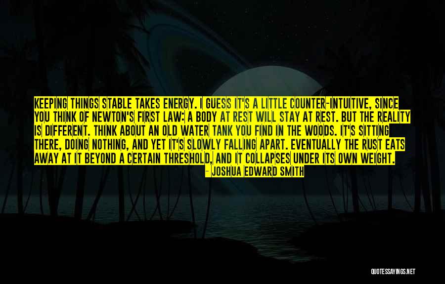 Falling Apart Quotes By Joshua Edward Smith