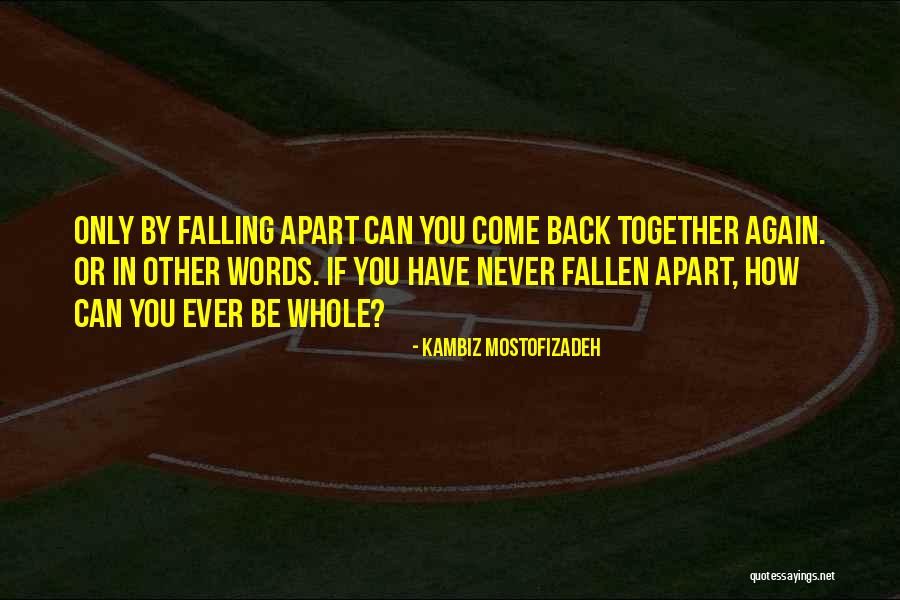 Falling Apart Quotes By Kambiz Mostofizadeh Falling Apart Quotes By Kambiz Mostofizadeh