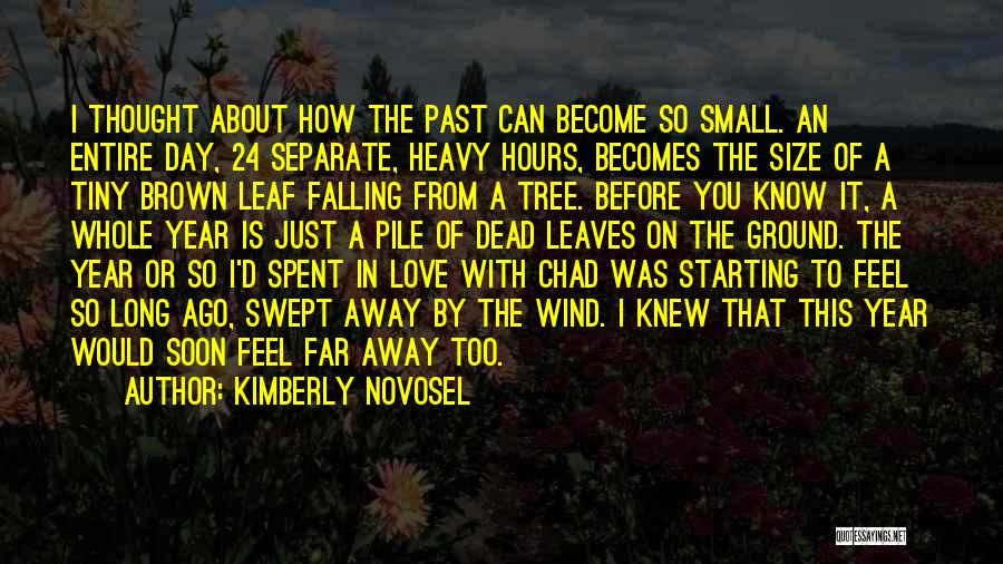 Falling Away From Love Quotes By Kimberly Novosel