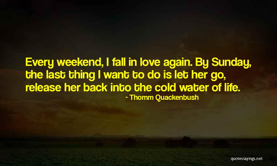 Falling Back In Love Again Quotes By Thomm Quackenbush