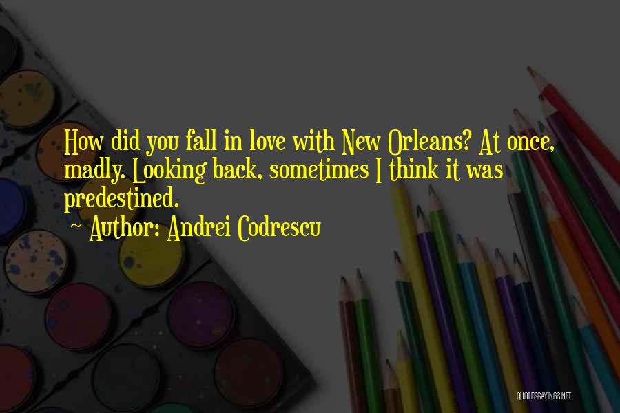 Falling Back In Love Quotes By Andrei Codrescu