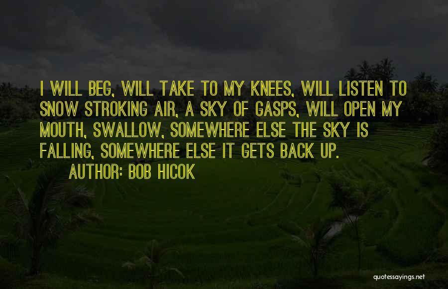 Falling Back Quotes By Bob Hicok