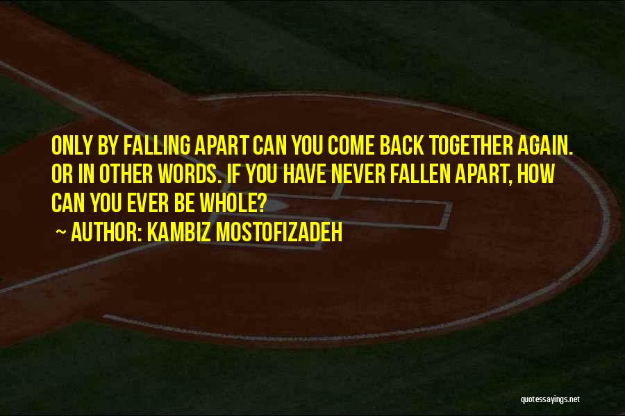 Falling Back Quotes By Kambiz Mostofizadeh