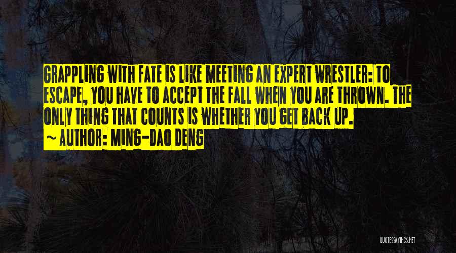 Falling Back Quotes By Ming-Dao Deng