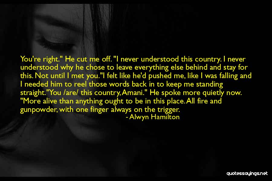 Falling Behind Quotes By Alwyn Hamilton Falling Behind Quotes By Alwyn Hamilton