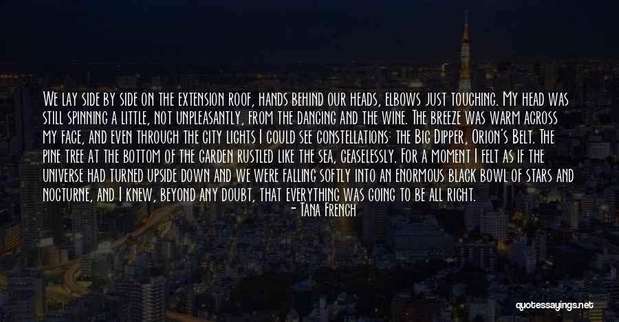 Falling Behind Quotes By Tana French Falling Behind Quotes By Tana French
