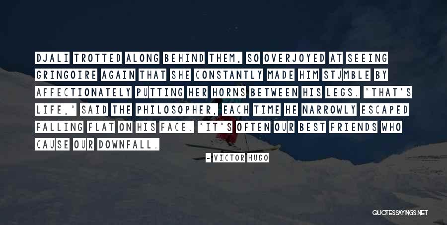 Falling Behind Quotes By Victor Hugo Falling Behind Quotes By Victor Hugo