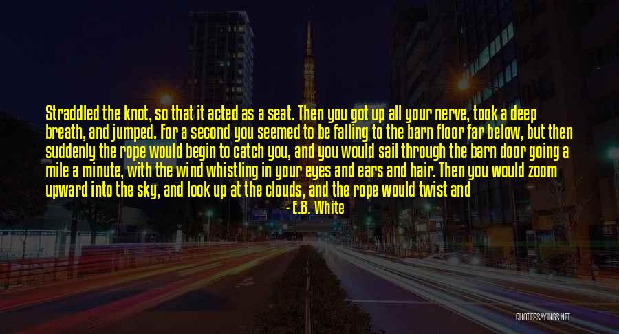 Falling Deep Quotes By E.B. White Falling Deep Quotes By E.B. White
