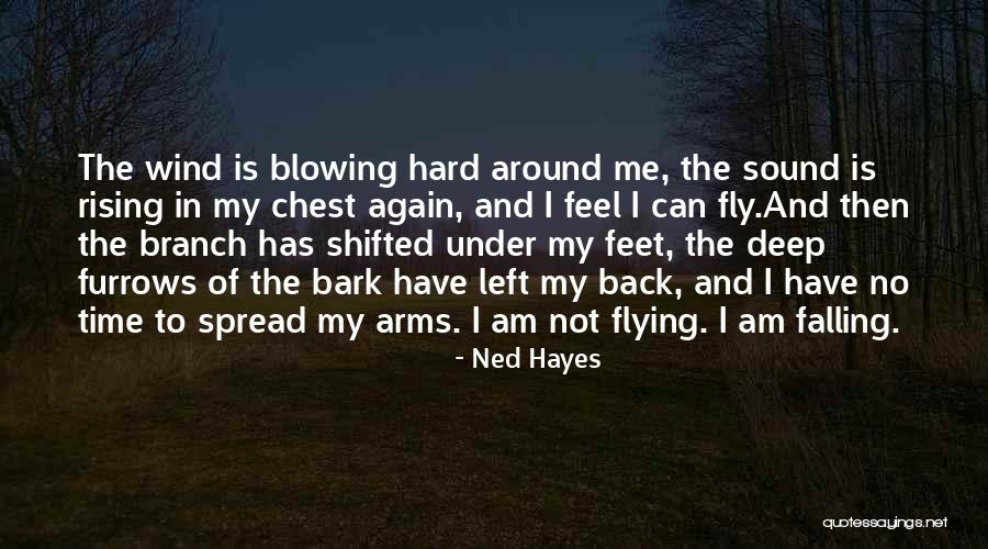 Falling Deep Quotes By Ned Hayes Falling Deep Quotes By Ned Hayes