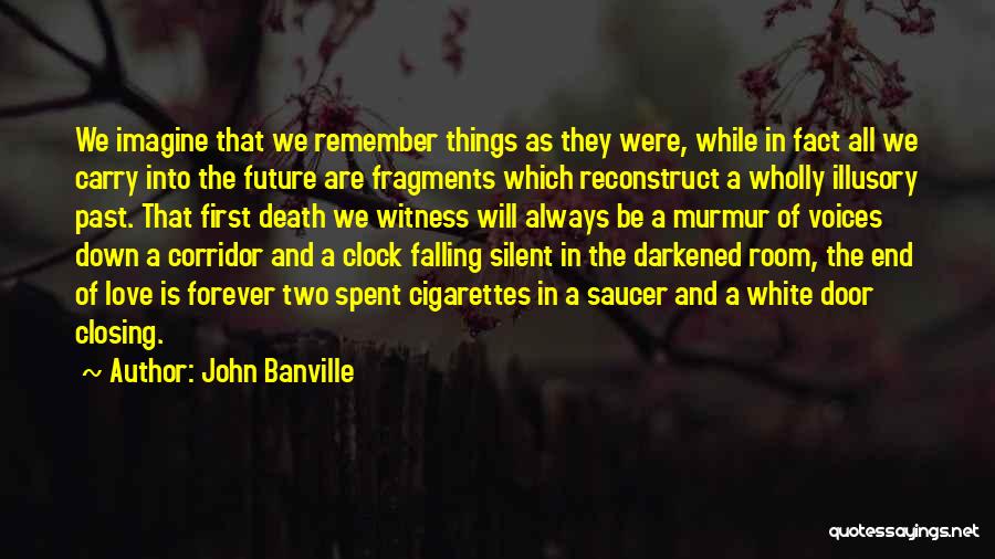 Falling Down Love Quotes By John Banville