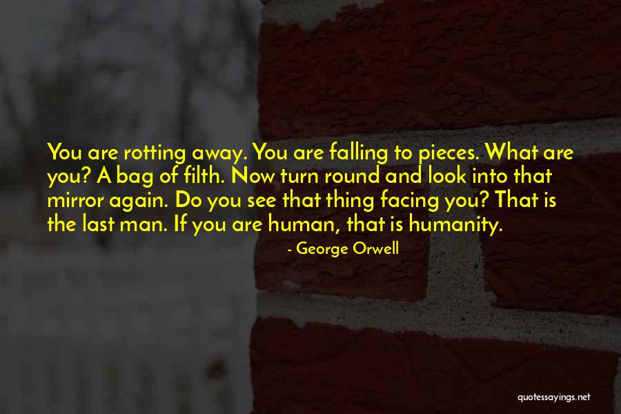 Falling For Him Again Quotes By George Orwell