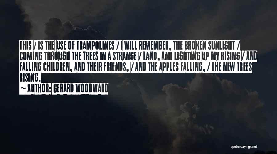 Falling For Someone New Quotes By Gerard Woodward