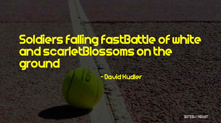 Falling For Someone Too Fast Quotes By David Kudler