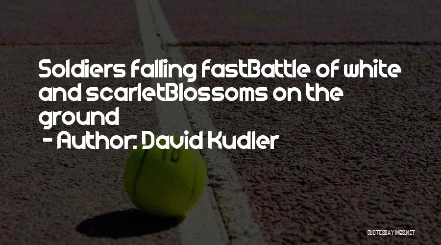Falling For You So Fast Quotes By David Kudler