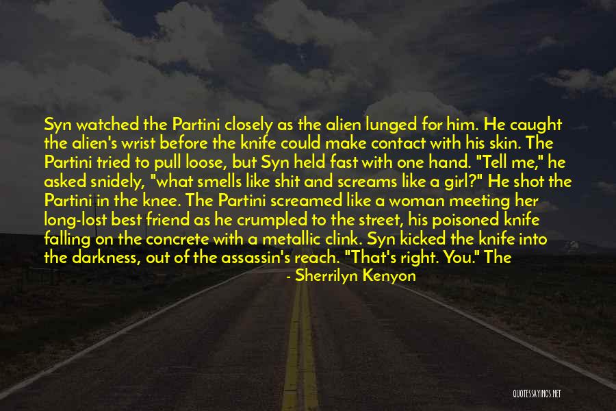 Falling For Your Best Friend Quotes By Sherrilyn Kenyon