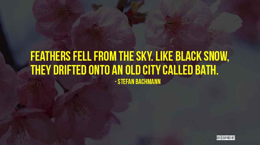 Falling From The Sky Quotes By Stefan Bachmann Falling From The Sky Quotes By Stefan Bachmann