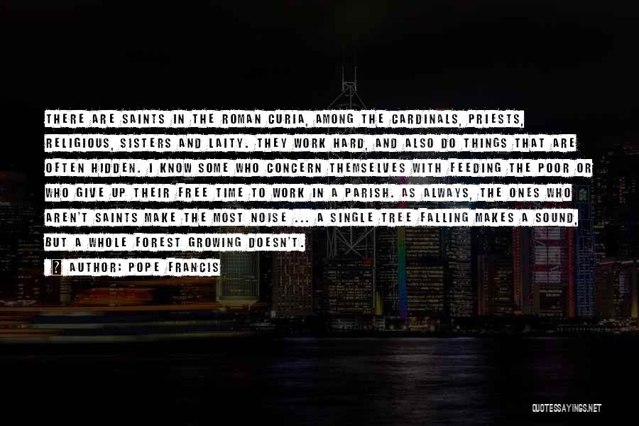 Falling Hard Quotes By Pope Francis