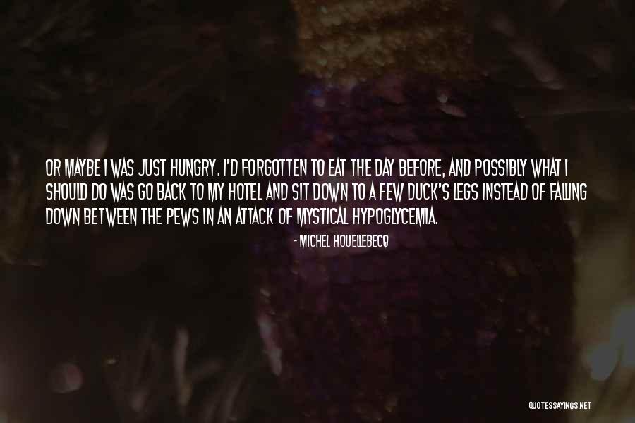 Falling In Between Quotes By Michel Houellebecq Falling In Between Quotes By Michel Houellebecq