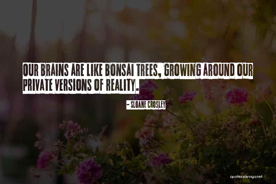 Falling In Love Again After Being Hurt Quotes By Sloane Crosley Falling In Love Again After Being Hurt Quotes By Sloane Crosley