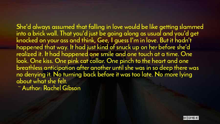 Falling In Love With His Smile Quotes By Rachel Gibson