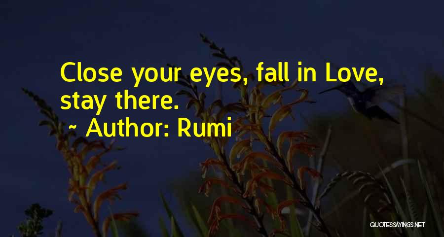 Falling In Love With Someone Eyes Quotes By Rumi