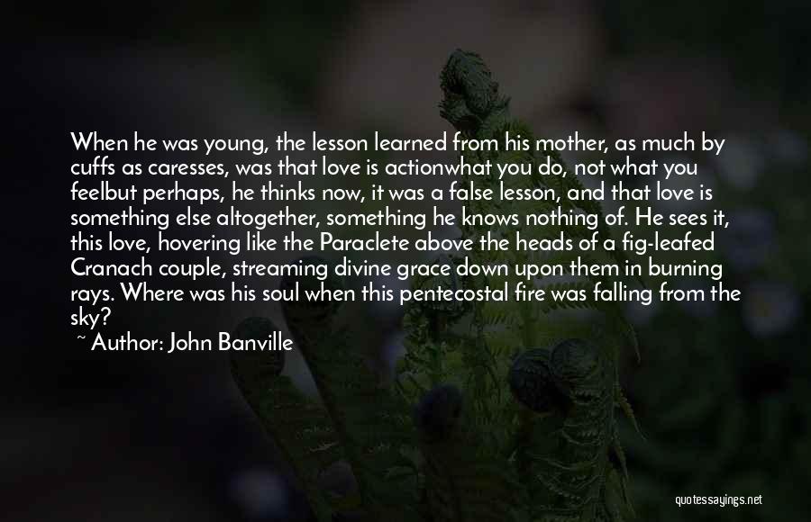 Falling In Love Young Quotes By John Banville