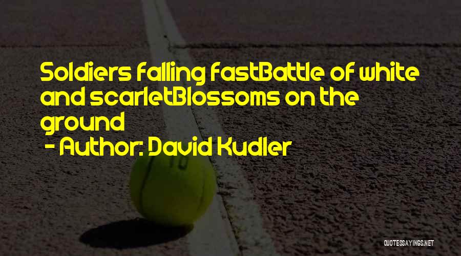 Falling On The Ground Quotes By David Kudler