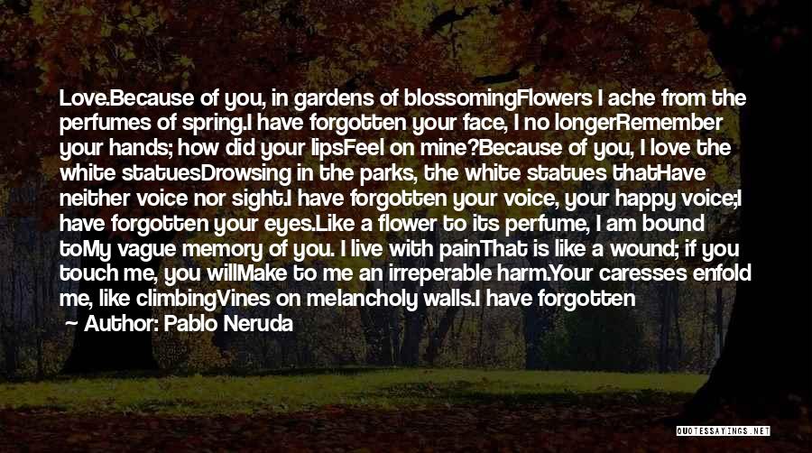 Falling On Your Face Quotes By Pablo Neruda