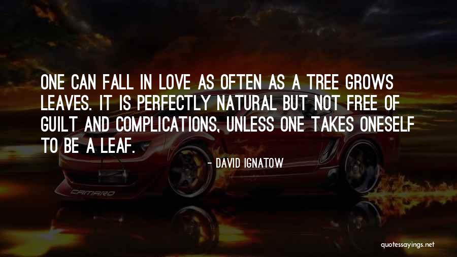 Falling Out Of A Tree Quotes By David Ignatow Falling Out Of A Tree Quotes By David Ignatow