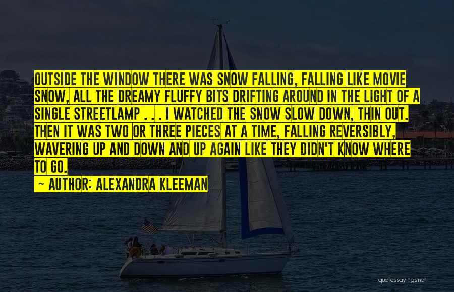 Falling Snow Quotes By Alexandra Kleeman