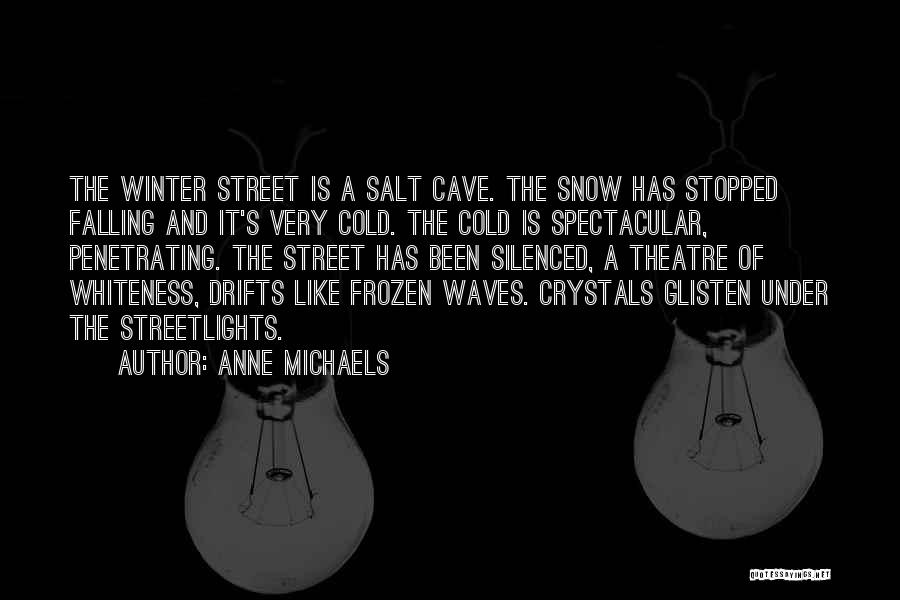 Falling Snow Quotes By Anne Michaels