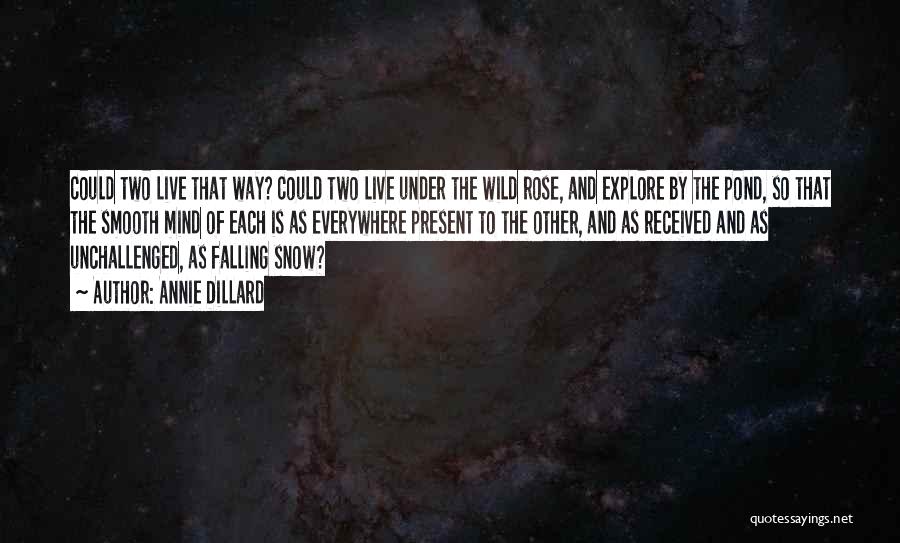 Falling Snow Quotes By Annie Dillard