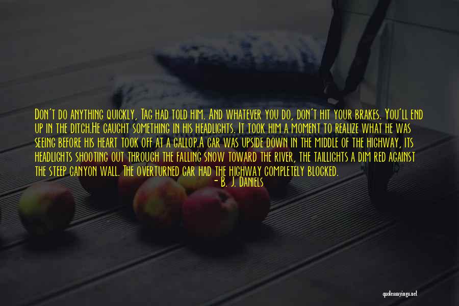Falling Snow Quotes By B. J. Daniels Falling Snow Quotes By B. J. Daniels