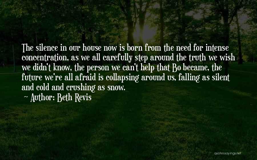 Falling Snow Quotes By Beth Revis