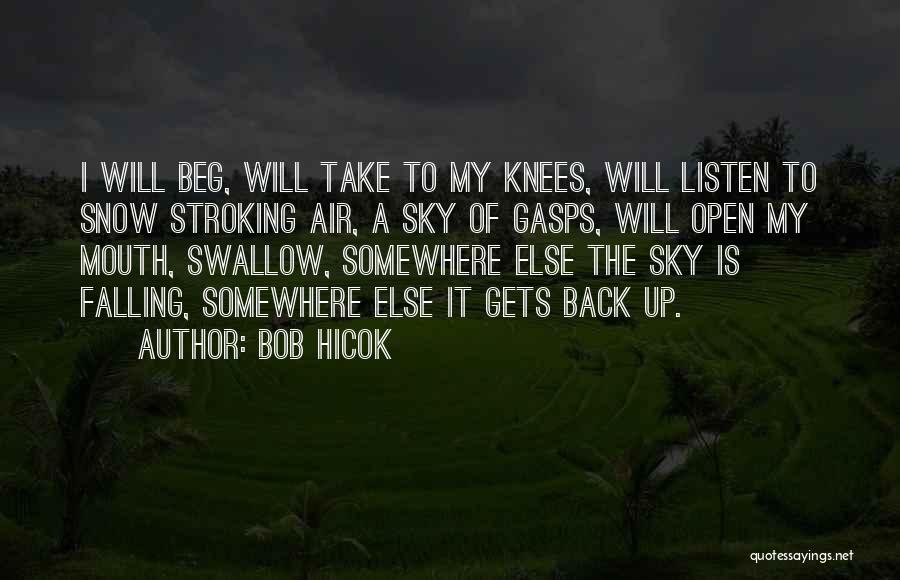 Falling Snow Quotes By Bob Hicok