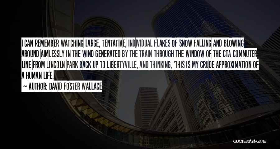 Falling Snow Quotes By David Foster Wallace