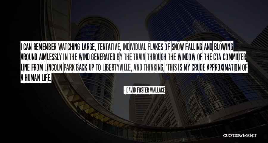 Falling Snow Quotes By David Foster Wallace