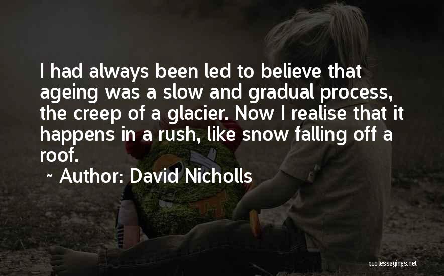 Falling Snow Quotes By David Nicholls