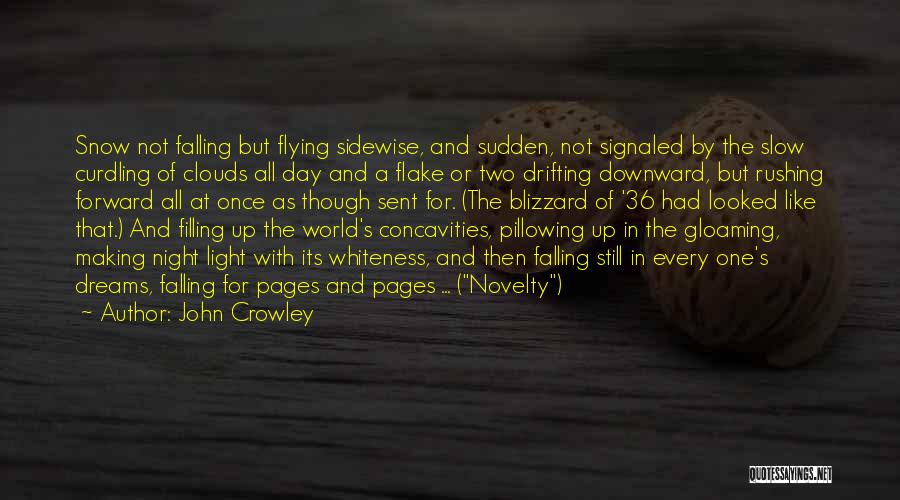 Falling Snow Quotes By John Crowley