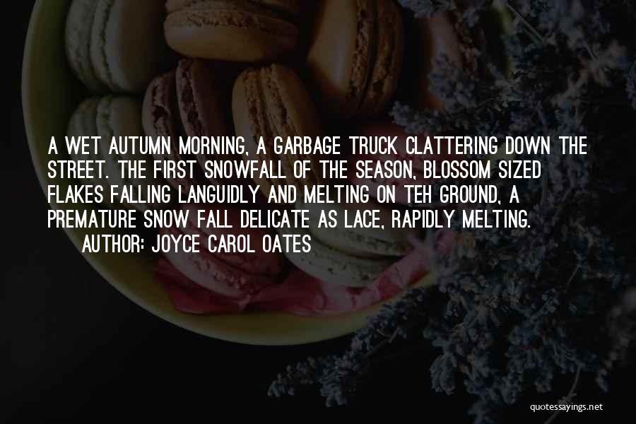 Falling Snow Quotes By Joyce Carol Oates