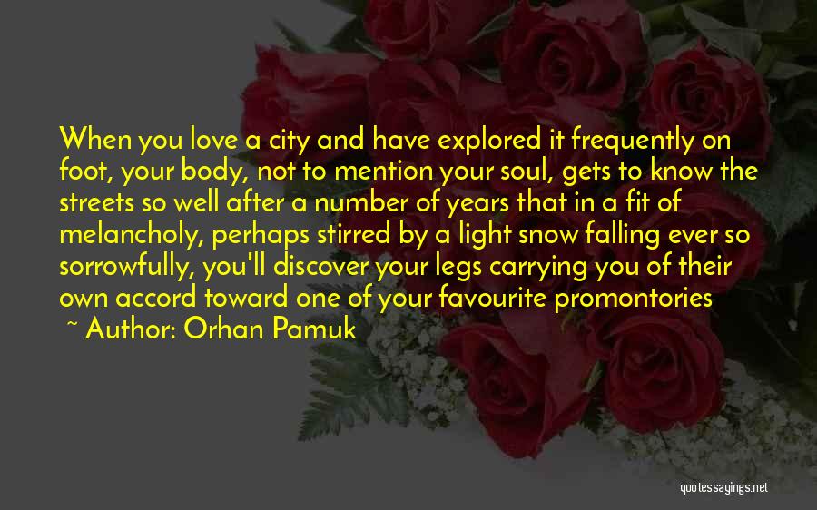 Falling Snow Quotes By Orhan Pamuk