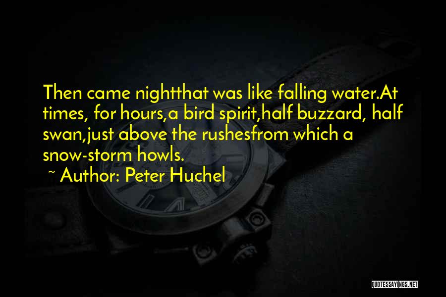 Falling Snow Quotes By Peter Huchel