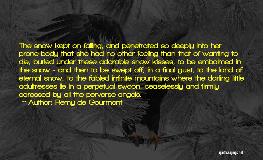 Falling Snow Quotes By Remy De Gourmont