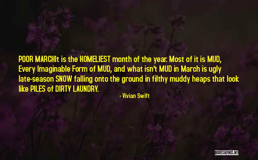 Falling Snow Quotes By Vivian Swift