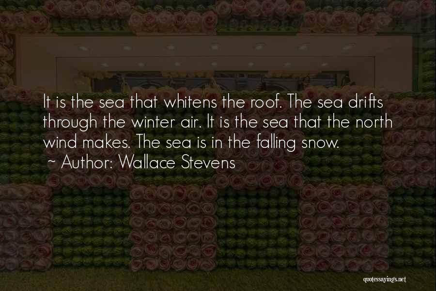 Falling Snow Quotes By Wallace Stevens