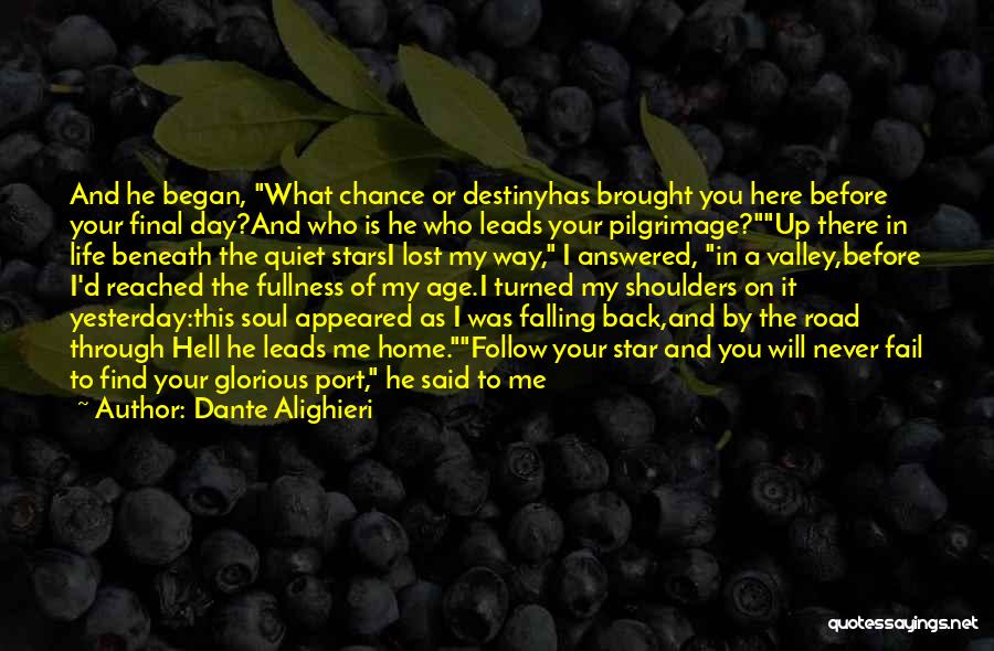 Falling Star Quotes By Dante Alighieri