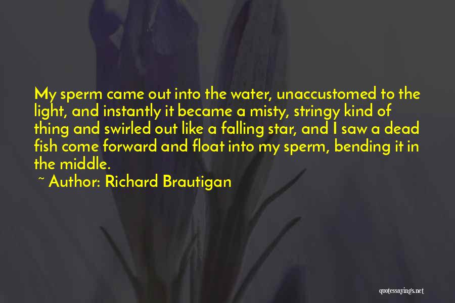 Falling Star Quotes By Richard Brautigan